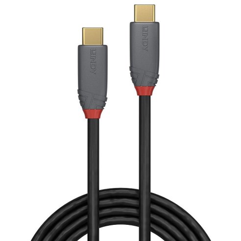 LINDY CAVO USB 3.2 5A 1 MT
