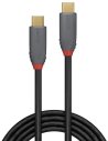 LINDY CAVO USB 3.2 5A 1 MT