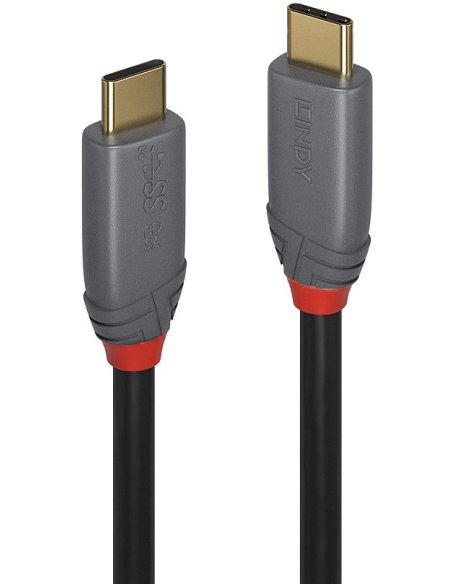 LINDY CAVO USB 3.2 5A 1 MT LINDY CAVO USB 3.2 5A 1 MT