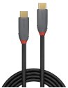 LINDY CAVO USB 3.2 5A 2 MT
