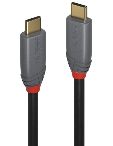 LINDY CAVO USB 3.2 5A 2 MT LINDY CAVO USB 3.2 5A 2 MT