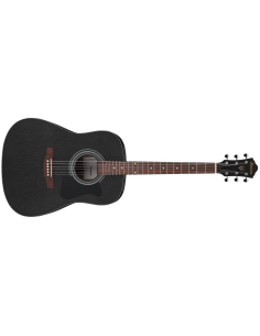 IBANEZ V54NJP-WK