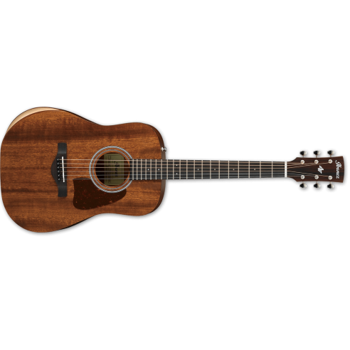 IBANEZ AW54JR-OPN