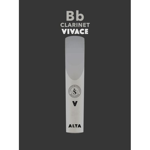 SILVERSTEIN AMBIPOLY CLARINETTO SIb VIVACE CUT 2.5+ AP275CLV