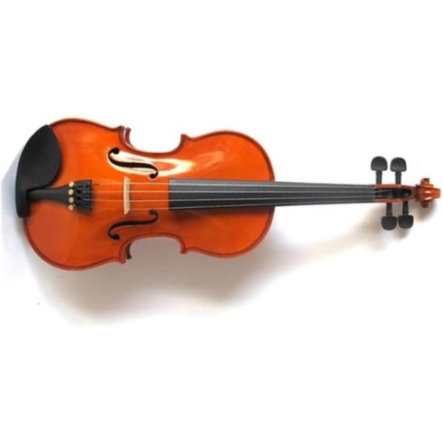 BRUCK P4010ES VIOLINO 4/4 + ASTUCCIO, ARCHETTO E PECE