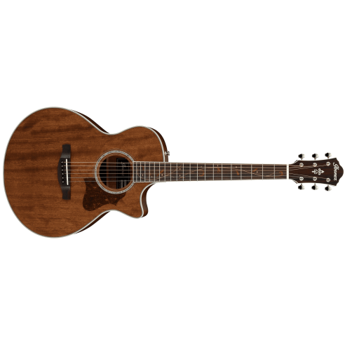 IBANEZ AE245JR-OPN