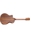 TAYLOR AD14ce SB LTD 50TH ANNIVERSARY