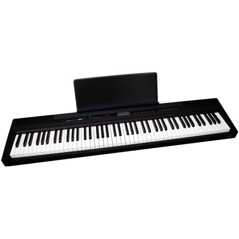 ECHORD SP-10/B