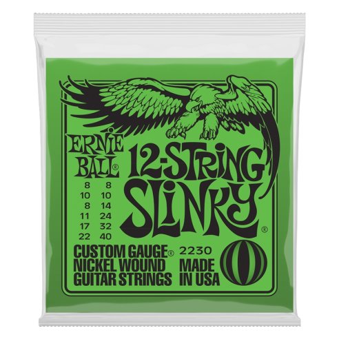 ERNIE BALL 2230 12 STRINGS ELECTRIC