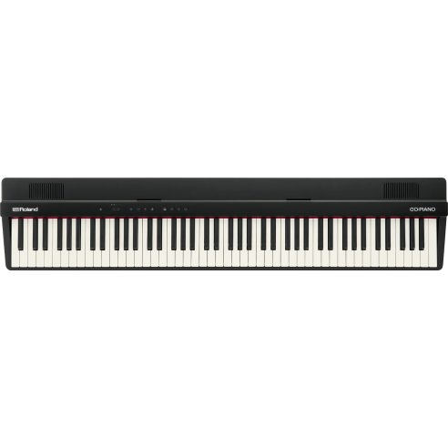 ROLAND GO-88PX
