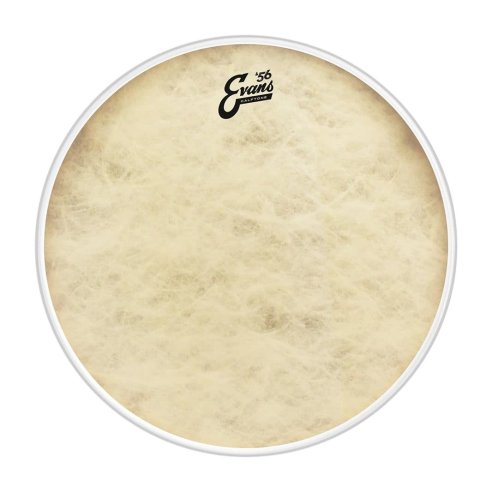 EVANS BD24CT CALFTONE