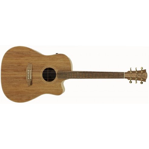 COLE CLARK FL2EC-BLBLR FAT LADY 2 ALL BLACKWOOD RW
