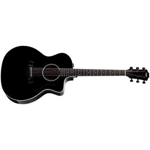 TAYLOR 214ce BLK DLX
