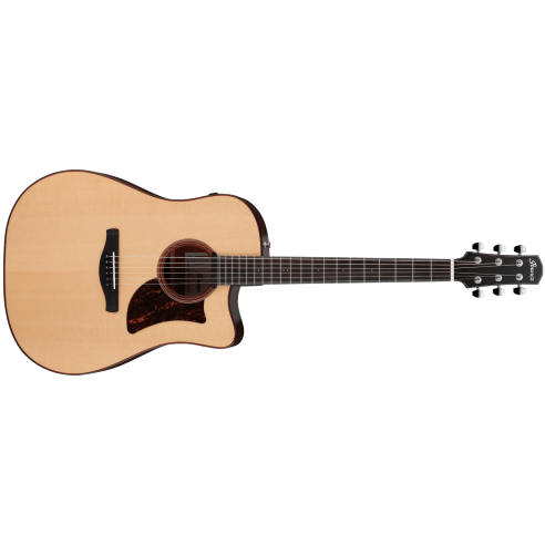IBANEZ AAD300CE-LGS