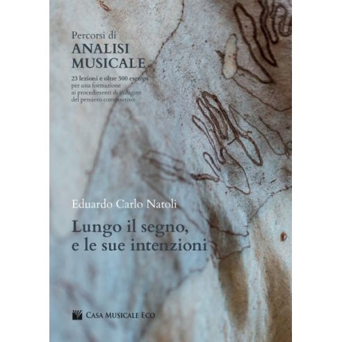NATOLI PERCORSI DI ANALISI MUSICALE