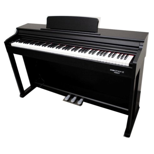 ECHORD DPX-100B BLACK