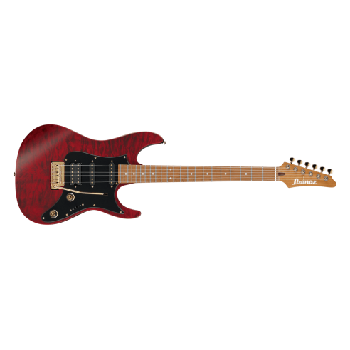 IBANEZ SLM10TRM SCOTT LE PAGE