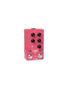 MOOER TENDER OCTAVER X2