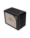 MOOER HORNET 15i iAMP BLACK