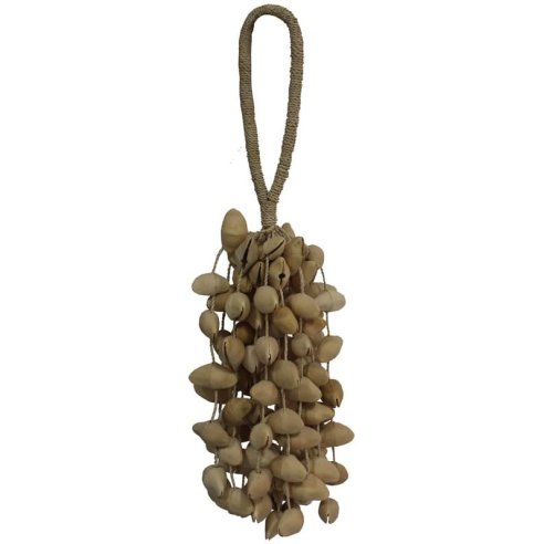 OYSTER SHAKER CANAR MARACAS 100 CAMPANELLE
