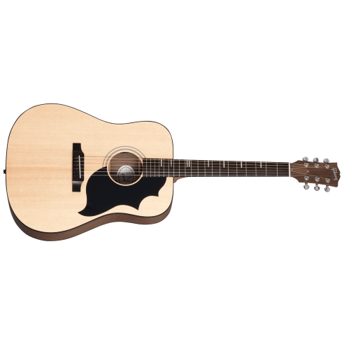 GIBSON G-BIRD