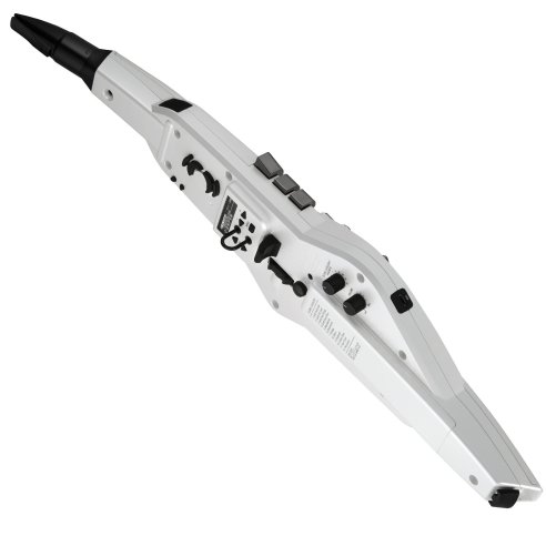 ROLAND AE-20W AEROPHONE