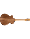 TAYLOR 114ce-SB