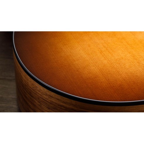TAYLOR 114ce-SB