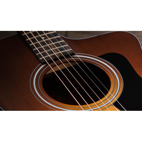 TAYLOR 114ce-SB