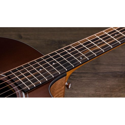 TAYLOR 114ce-SB