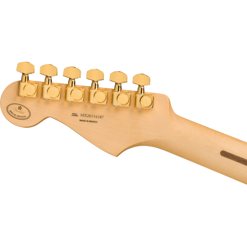 FENDER DE PLAYER STRAT PF 3TS GOLD
