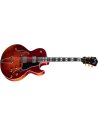 EASTMAN T49D/TV