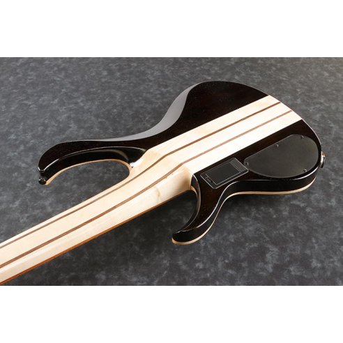 IBANEZ BTB846-VABL