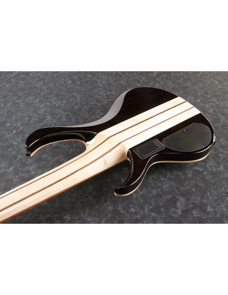 IBANEZ BTB846-VABL