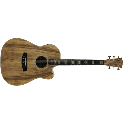COLE CLARK FL3EC-SB SPRUCE BLACKWOOD EBONY