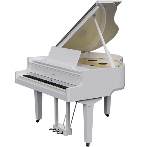 ROLAND GP-9M-PW