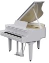 ROLAND GP-9M-PW