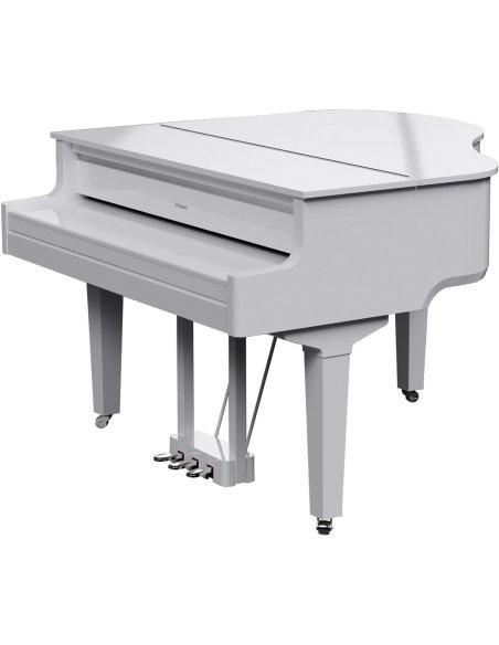 ROLAND GP-9M-PW ROLAND GP-9M-PW