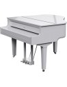 ROLAND GP-9M-PW