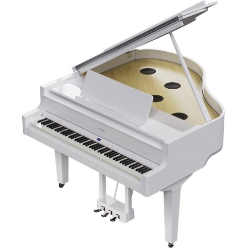 ROLAND GP-9M-PW