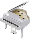ROLAND GP-9M-PW