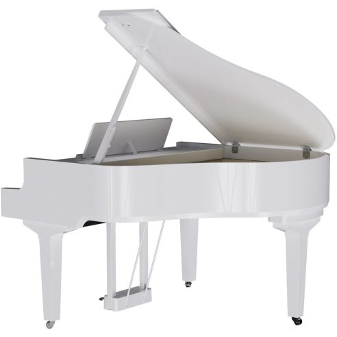 ROLAND GP-9M-PW