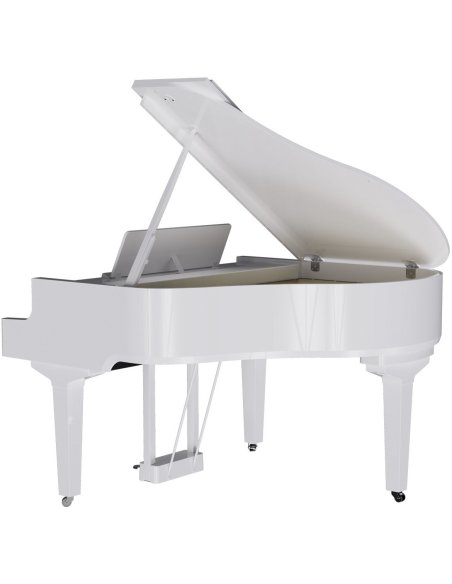 ROLAND GP-9M-PW ROLAND GP-9M-PW