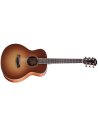 TAYLOR GS MINI-SPECIAL EDITION