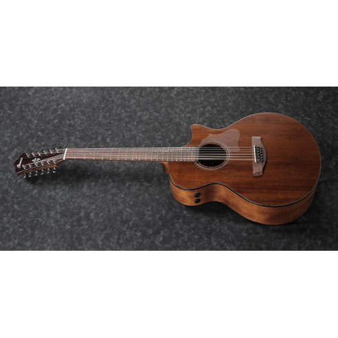 IBANEZ AE2912-LGS