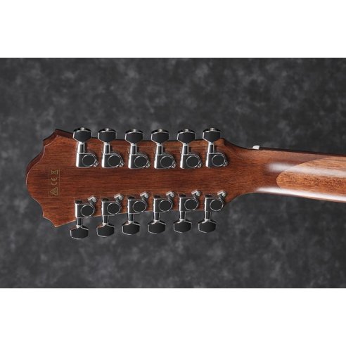 IBANEZ AE2912-LGS