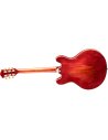EASTMAN T64/TV-T CLASSIC