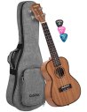 CASCHA HH2035 CONCERT MAHOGANY