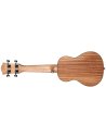 CASCHA HH2148 SOPRANO SPRUCE SOLID TOP