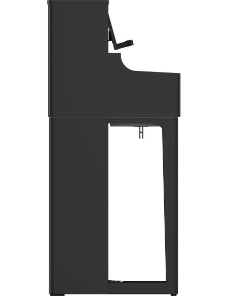 ROLAND LX5-PE POLISHED EBONY ROLAND LX5-PE POLISHED EBONY